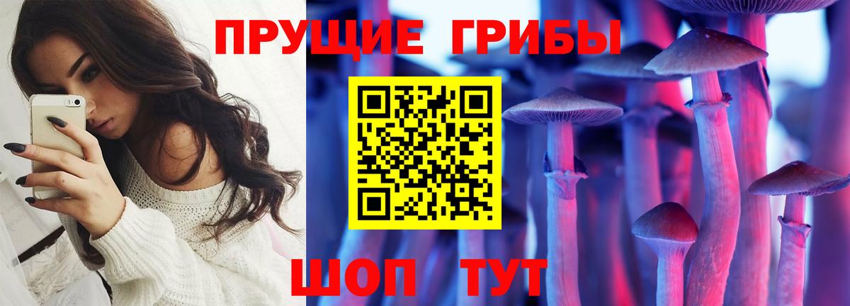 Барабинск  Галлюциногенные грибы MAGIC MUSHROOMS  купить  сайты  Вход с VPN 